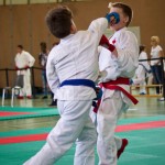 Wiener Karate Landesmeisterschaft 2016 in der in der PAHO-Halle, Jura-Soyfer-Gasse 3, 1100 Wien