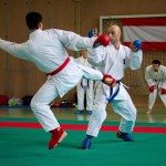 Wiener Karate Landesmeisterschaft 2016 in der in der PAHO-Halle, Jura-Soyfer-Gasse 3, 1100 Wien