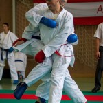 Wiener Karate Landesmeisterschaft 2016 in der in der PAHO-Halle, Jura-Soyfer-Gasse 3, 1100 Wien