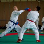 Wiener Karate Landesmeisterschaft 2016 in der in der PAHO-Halle, Jura-Soyfer-Gasse 3, 1100 Wien