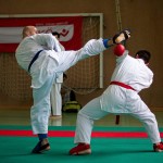 Wiener Karate Landesmeisterschaft 2016 in der in der PAHO-Halle, Jura-Soyfer-Gasse 3, 1100 Wien