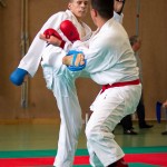 Wiener Karate Landesmeisterschaft 2016 in der in der PAHO-Halle, Jura-Soyfer-Gasse 3, 1100 Wien