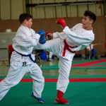 Wiener Karate Landesmeisterschaft 2016 in der in der PAHO-Halle, Jura-Soyfer-Gasse 3, 1100 Wien