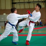 Wiener Karate Landesmeisterschaft 2016 in der in der PAHO-Halle, Jura-Soyfer-Gasse 3, 1100 Wien