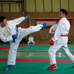 Wiener Karate Landesmeisterschaft 2016 in der in der PAHO-Halle, Jura-Soyfer-Gasse 3, 1100 Wien