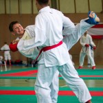 Wiener Karate Landesmeisterschaft 2016 in der in der PAHO-Halle, Jura-Soyfer-Gasse 3, 1100 Wien