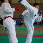 Wiener Karate Landesmeisterschaft 2016 in der in der PAHO-Halle, Jura-Soyfer-Gasse 3, 1100 Wien