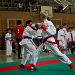 Wiener Karate Landesmeisterschaft 2016 in der in der PAHO-Halle, Jura-Soyfer-Gasse 3, 1100 Wien