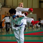 Wiener Karate Landesmeisterschaft 2016 in der in der PAHO-Halle, Jura-Soyfer-Gasse 3, 1100 Wien