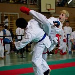 Wiener Karate Landesmeisterschaft 2016 in der in der PAHO-Halle, Jura-Soyfer-Gasse 3, 1100 Wien