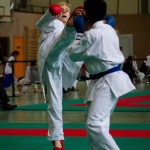 Wiener Karate Landesmeisterschaft 2016 in der in der PAHO-Halle, Jura-Soyfer-Gasse 3, 1100 Wien