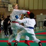 Wiener Karate Landesmeisterschaft 2016 in der in der PAHO-Halle, Jura-Soyfer-Gasse 3, 1100 Wien