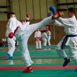 Wiener Karate Landesmeisterschaft 2016 in der in der PAHO-Halle, Jura-Soyfer-Gasse 3, 1100 Wien