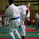 Wiener Karate Landesmeisterschaft 2016 in der in der PAHO-Halle, Jura-Soyfer-Gasse 3, 1100 Wien