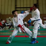 Wiener Karate Landesmeisterschaft 2016 in der in der PAHO-Halle, Jura-Soyfer-Gasse 3, 1100 Wien