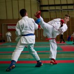 Wiener Karate Landesmeisterschaft 2016 in der in der PAHO-Halle, Jura-Soyfer-Gasse 3, 1100 Wien