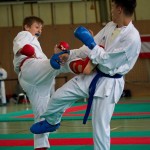 Wiener Karate Landesmeisterschaft 2016 in der in der PAHO-Halle, Jura-Soyfer-Gasse 3, 1100 Wien