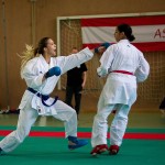 Wiener Karate Landesmeisterschaft 2016 in der in der PAHO-Halle, Jura-Soyfer-Gasse 3, 1100 Wien