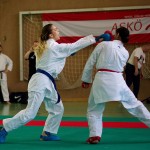 Wiener Karate Landesmeisterschaft 2016 in der in der PAHO-Halle, Jura-Soyfer-Gasse 3, 1100 Wien