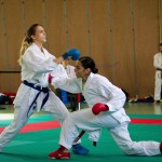 Wiener Karate Landesmeisterschaft 2016 in der in der PAHO-Halle, Jura-Soyfer-Gasse 3, 1100 Wien