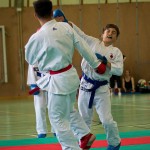 Wiener Karate Landesmeisterschaft 2016 in der in der PAHO-Halle, Jura-Soyfer-Gasse 3, 1100 Wien