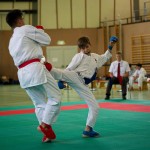 Wiener Karate Landesmeisterschaft 2016 in der in der PAHO-Halle, Jura-Soyfer-Gasse 3, 1100 Wien