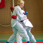 Wiener Karate Landesmeisterschaft 2016 in der in der PAHO-Halle, Jura-Soyfer-Gasse 3, 1100 Wien