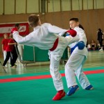 Wiener Karate Landesmeisterschaft 2016 in der in der PAHO-Halle, Jura-Soyfer-Gasse 3, 1100 Wien