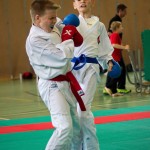 Wiener Karate Landesmeisterschaft 2016 in der in der PAHO-Halle, Jura-Soyfer-Gasse 3, 1100 Wien