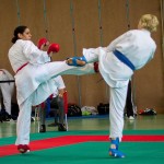 Wiener Karate Landesmeisterschaft 2016 in der in der PAHO-Halle, Jura-Soyfer-Gasse 3, 1100 Wien