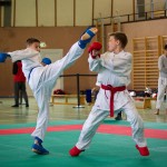 Wiener Karate Landesmeisterschaft 2016 in der in der PAHO-Halle, Jura-Soyfer-Gasse 3, 1100 Wien