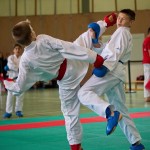 Wiener Karate Landesmeisterschaft 2016 in der in der PAHO-Halle, Jura-Soyfer-Gasse 3, 1100 Wien