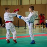 Wiener Karate Landesmeisterschaft 2016 in der in der PAHO-Halle, Jura-Soyfer-Gasse 3, 1100 Wien