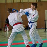 Wiener Karate Landesmeisterschaft 2016 in der in der PAHO-Halle, Jura-Soyfer-Gasse 3, 1100 Wien