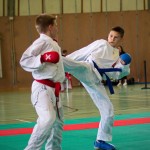 Wiener Karate Landesmeisterschaft 2016 in der in der PAHO-Halle, Jura-Soyfer-Gasse 3, 1100 Wien