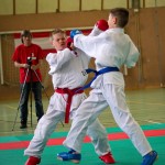 Wiener Karate Landesmeisterschaft 2016 in der in der PAHO-Halle, Jura-Soyfer-Gasse 3, 1100 Wien