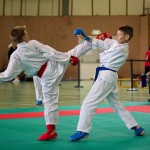 Wiener Karate Landesmeisterschaft 2016 in der in der PAHO-Halle, Jura-Soyfer-Gasse 3, 1100 Wien