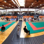 16. Vienna Open 2016 in der Hopsagasse 7, 1220 Wien.