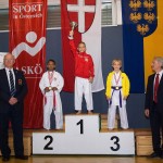 16. Vienna Open 2016 in der Hopsagasse 7, 1220 Wien.