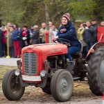 Das 25. Traktorrennen startete wieder pünktlich zum Faschingsbeginn um 11:11 "In Wiesen" am Sportplatz Wolkersdorf. Trotz Kälte und etwas Nebel kamen zahlreiche Besucher um die 19 Traktoren in Action zu sehen. Ungewollte Action gab es für einen Teilnehmer, dem in einer Kurve der Traktor gefährlich zu kippen begann. Geistesgegenwärtig sprang er sofort ab. Leider fuhr der Traktor mit voller Geschwindigkeit unkontrolliert Richtung Straße, wo ein Polizeiauto parkte. Zum Glück stoppte ihn ein dazwischen stehender Baum. Ein Polizeibeamter stoppte sofort den Motor. Zum Glück  hält sich der Schaden in Grenzen. Der Baum wurde händisch wieder aufgerichtet und am Traktor ist ein Scheinwerfer kaputt.