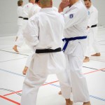 2. Wien-Tag des Karate Landesverbandes