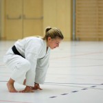 2. Wien-Tag des Karate Landesverbandes