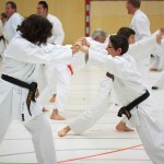 2. Wien-Tag des Karate Landesverbandes