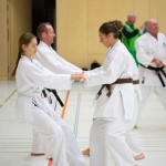 2. Wien-Tag des Karate Landesverbandes