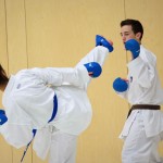 2. Wien-Tag des Karate Landesverbandes