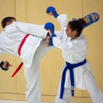 2. Wien-Tag des Karate Landesverbandes