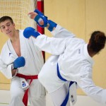 2. Wien-Tag des Karate Landesverbandes