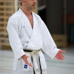 2. Wien-Tag des Karate Landesverbandes