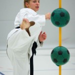 2. Wien-Tag des Karate Landesverbandes