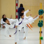 2. Wien-Tag des Karate Landesverbandes